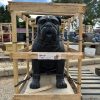 Bulldog Statue