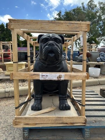 Bulldog Statue