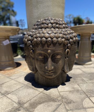 Buddha Head Face 4