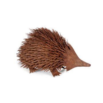 Echidna Large Rust