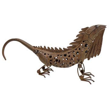 Small Australian Bearded Dragon- Rust