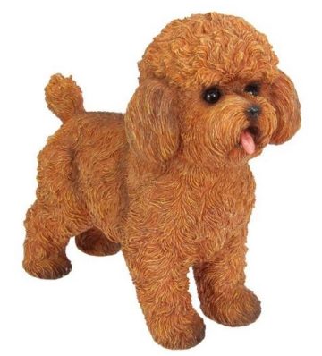 Standing Brown Cavoodle 27cm