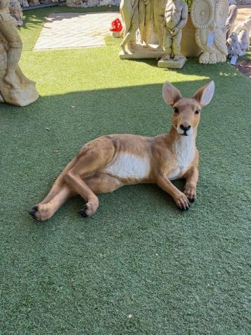 Kangaroo Laying Down -Large