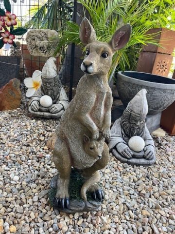 Kangaroo With Joey