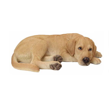 Resting Labrador