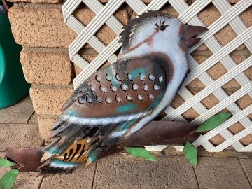 Kookaburra IR258
