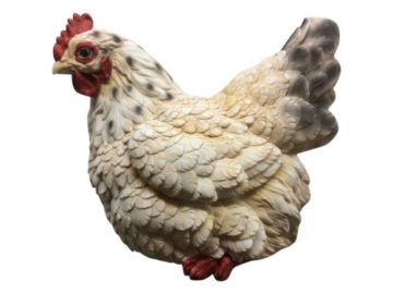 White Sitting Chicken 26cm