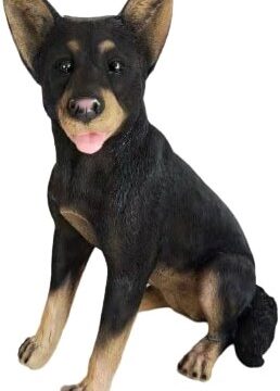 Cattle Dog Sitting