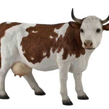 Brown Cow