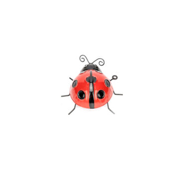 Ladybug Red Large