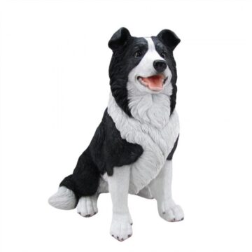 Resin Border Collie