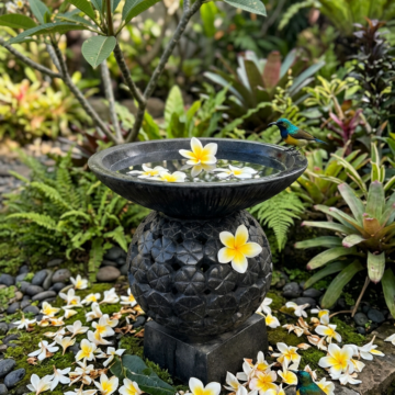 Frangipani Ball Birdbath Terrazzo – Black
