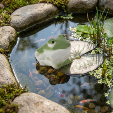 Floating Frog Porcelain