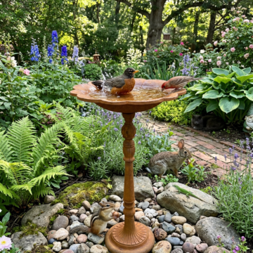 Cast Iron Bird Bath