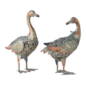 Country Duck Pair