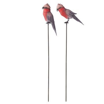 Asst Galahs on Stakes - Set of 2