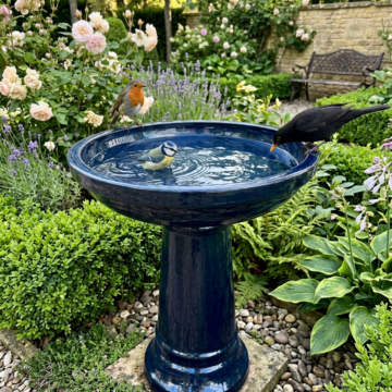 Grafton Birdbath Mirror