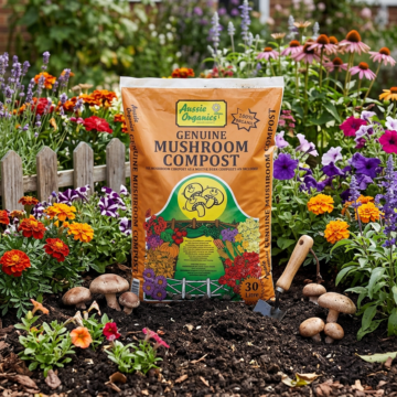 Mushroom Compost In A Garden