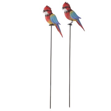 Asst Parrots on Stakes - Set of 2