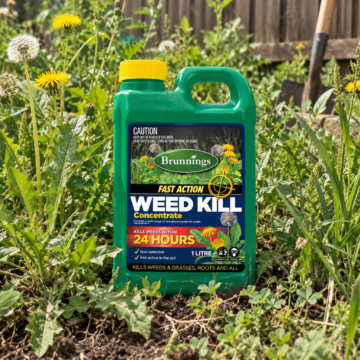 Weed Kill Concentrate 1L